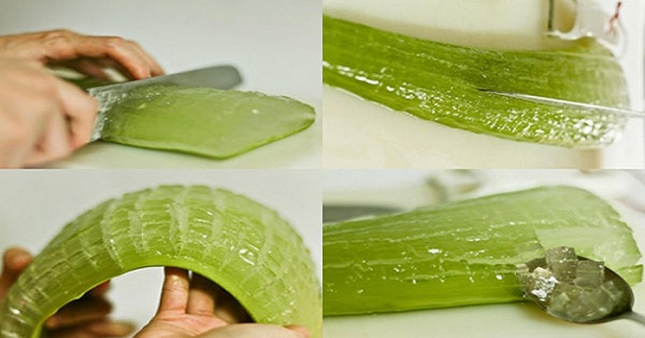 Mind-Blowing Reasons Why Aloe Vera Is a Miracle Medicine Plant