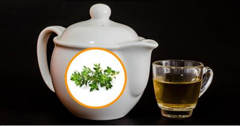 Drink Thyme Tea Every Morning To Help With Fibromyalgia, Hashimoto’s, Arthritis, Lupus, and Multiple Sclerosis