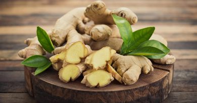 How To Grow An Endless Supply of Ginger Indoors Using Nothing But a Container!